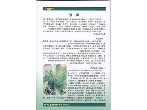 菊苣种植资料